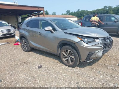 JTJGARDZ3M5****** 2021 Lexus NX