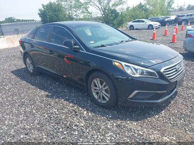 5NPE24AF9HH****** 2017 Hyundai Sonata