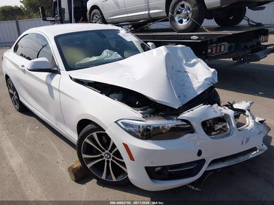 WBA2F9C52HV****** 2017 BMW 2 Series