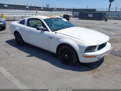 1ZVFT80N765****** 2006 Ford Mustang