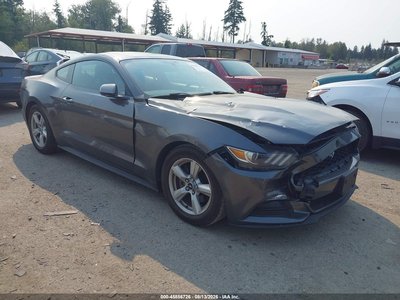 1FA6P8AM9G5****** 2016 Ford Mustang