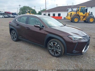 JTHU9JBH2K2****** 2019 Lexus UX 250h
