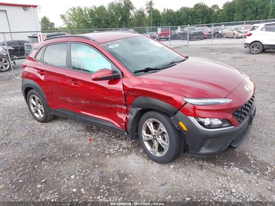 KM8K6CAB6PU****** 2023 Hyundai Kona