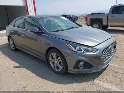 5NPE34AF5KH****** 2019 Hyundai Sonata