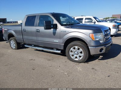 1FTFW1ET5DK****** 2013 Ford F-150