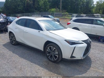 2024 Lexus UX 250h