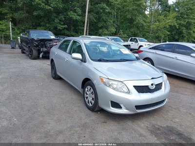 1NXBU40E49Z****** 2009 Toyota Corolla