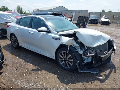 5XXGT4L30KG****** 2019 Kia Optima