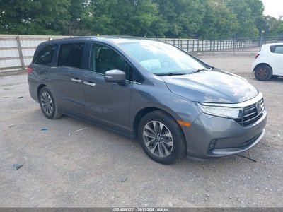 5FNRL6H67RB****** 2024 Honda Odyssey