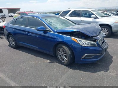5NPE24AF0GH****** 2016 Hyundai Sonata