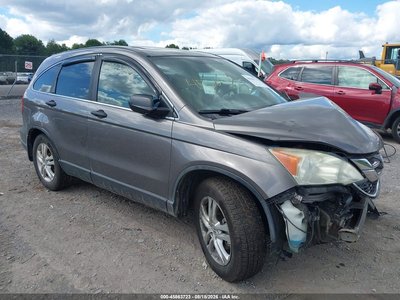 2010 Honda CR-V