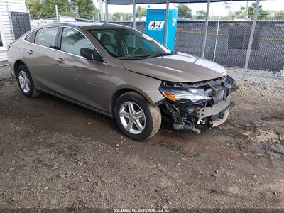 1G1ZB5ST3PF****** 2023 Chevrolet Malibu