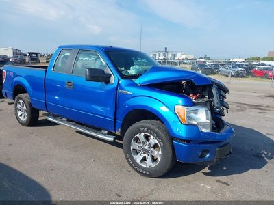 1FTFX1EF8DF****** 2013 Ford F-150