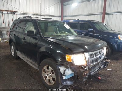 2010 Ford Escape