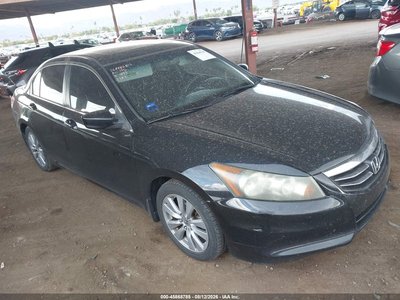 2011 Honda Accord