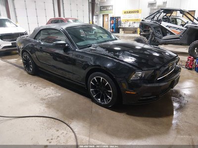 1ZVBP8EM7D5****** 2013 Ford Mustang