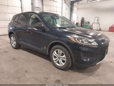 1FMCU9F65MU****** 2021 Ford Escape