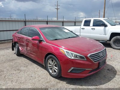 5NPE24AF2GH****** 2016 Hyundai Sonata