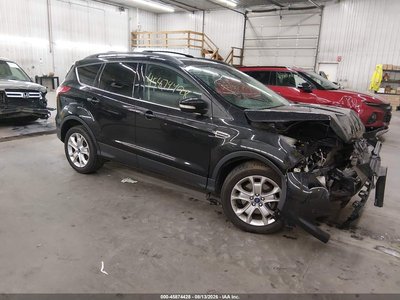 1FMCU9HX3DU****** 2013 Ford Escape