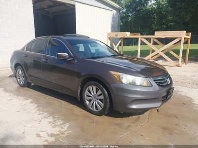 2011 Honda Accord