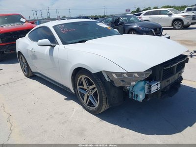 1FA6P8TH4R5****** 2024 Ford Mustang