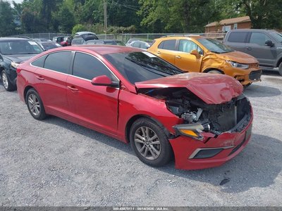 5NPE24AF8HH****** 2017 Hyundai Sonata