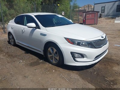 KNAGM4AD4G5****** 2016 Kia Optima