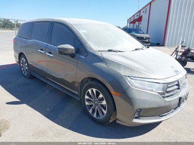 5FNRL6H60PB****** 2023 Honda Odyssey