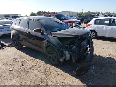 1FMCU0F74KU****** 2019 Ford Escape