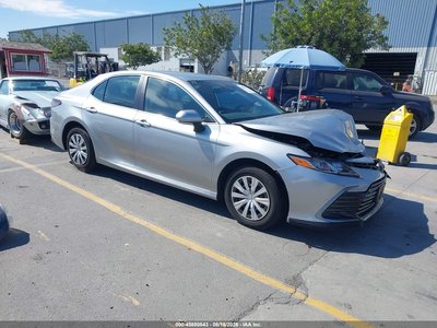 2024 Toyota Camry Hybrid