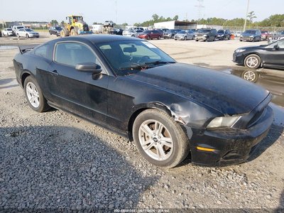 1ZVBP8AM4D5****** 2013 Ford Mustang