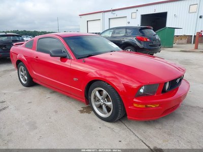 1ZVFT82HX65****** 2006 Ford Mustang