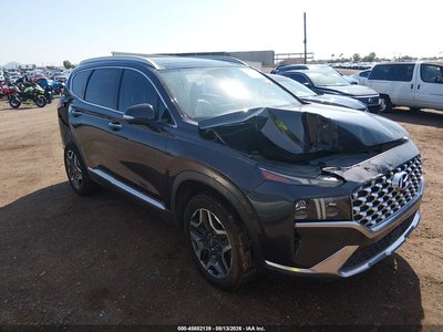 5NMS4DAL1MH****** 2021 Hyundai Santa Fe