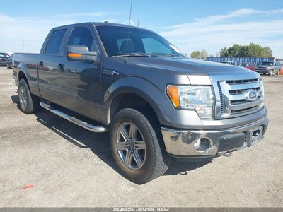 1FTFW1EV3AF****** 2010 Ford F-150