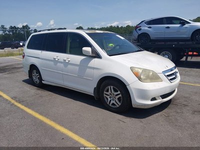 5FNRL38696B****** 2006 Honda Odyssey