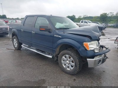 1FTFW1EF5DK****** 2013 Ford F-150