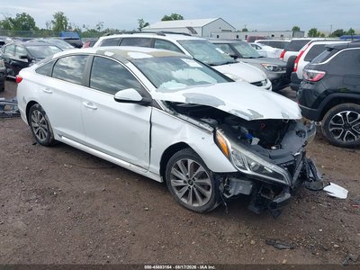 5NPE34AFXGH****** 2016 Hyundai Sonata