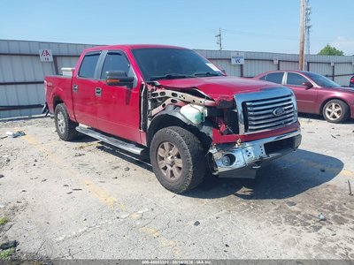 1FTFW1EF1BF****** 2011 Ford F-150