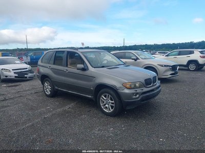 5UXFA13545L****** 2005 BMW X5