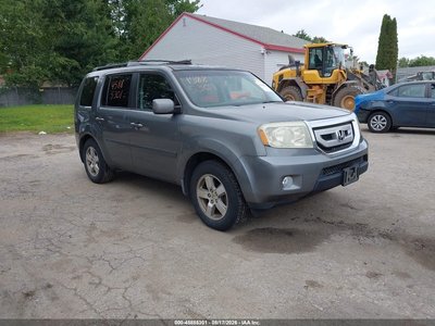 5FNYF48519B****** 2009 Honda Pilot