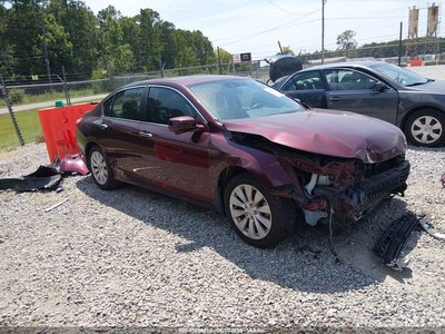 1HGCR2F84FA****** 2015 Honda Accord