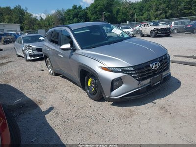 KM8JBCDE7RU****** 2024 Hyundai Tucson