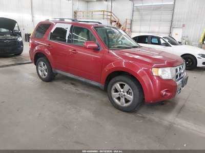1FMCU9EG8AK****** 2010 Ford Escape