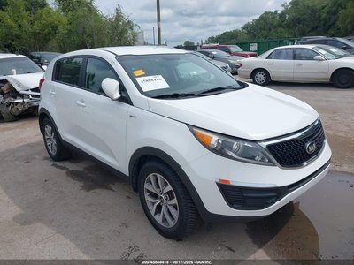 KNDPBCAC3G7****** 2016 Kia Sportage