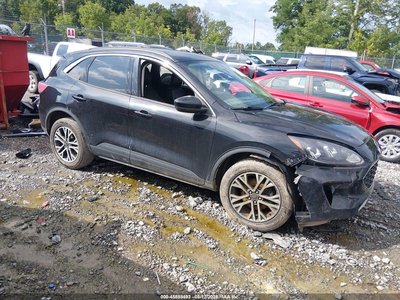 1FMCU9H66MU****** 2021 Ford Escape
