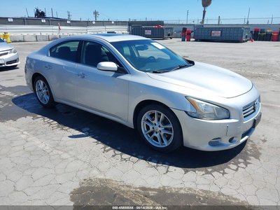 2014 Nissan Maxima