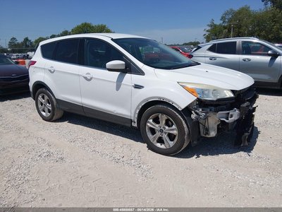 1FMCU0GX5EU****** 2014 Ford Escape