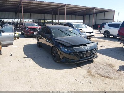 5NPLM4AG5PH****** 2023 Hyundai Elantra