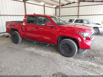 3TYKB5FN4RT****** 2024 Toyota Tacoma