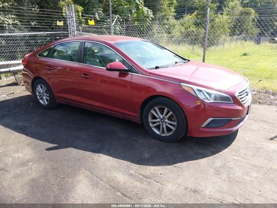 5NPE24AF2GH****** 2016 Hyundai Sonata